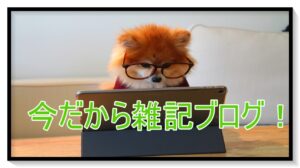 ブログは雑記もオススメ！向いてる人と収益化のポイントは？