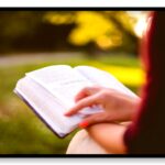 漫画しか読めなかった僕が1年間で50冊以上の本を読めた方法